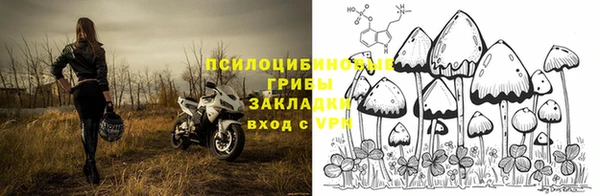 герыч Алзамай